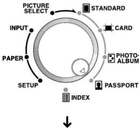 OLYMPUS Camedia P-440 - Passport Selection - 1