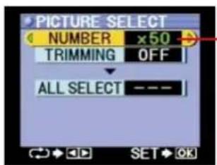 PICTURE SELECT NUMBER x50 TRIMMING OFF ALL SELECT ---