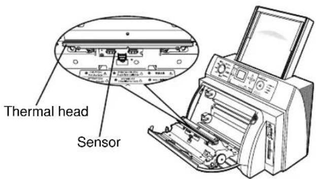 Thermal head Sensor
