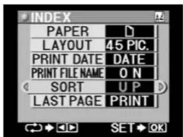 INDEX PAPER LAYOUT 45 PIC. PRINT DATE DATE PRINT FILE NAME ON SORT UP LAST PAGE PRINT