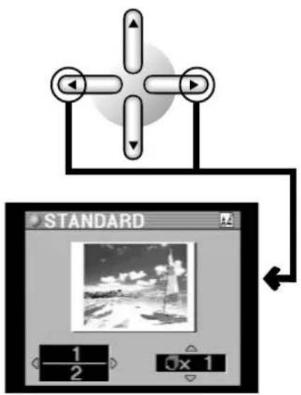 STANDARD 1 2 0x 1