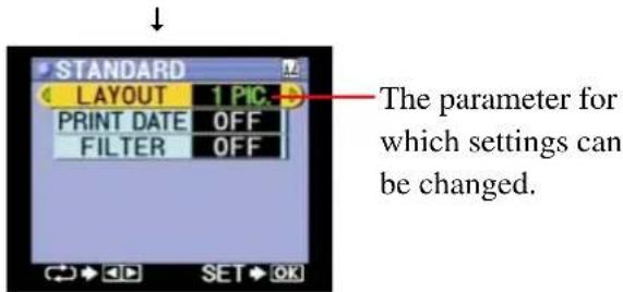 STANDARD LAYOUT 1 PIC PRINT DATE OFF FILTER OFF The parameter for which settings can be changed.
