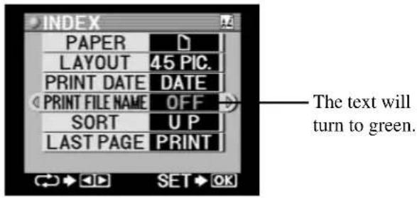 INDEX PAPER LAYOUT 45 PIC. PRINT DATE DATE PRINT FILE NAME OFF SORT U P LAST PAGE PRINT The text will turn to green.