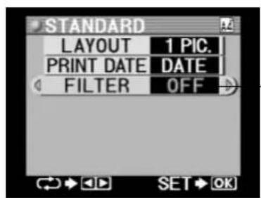 STANDARD LAYOUT 1 PIC. PRINT DATE DATE FILTER OFF