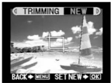 TRIMMING NEW BACK MENU SET NEW OK