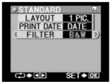 STANDARD LAYOUT 1 PIC. PRINT DATE DATE FILTER B&W