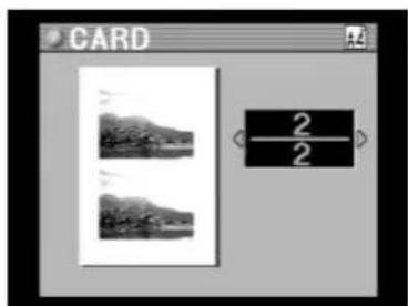CARD 2 2