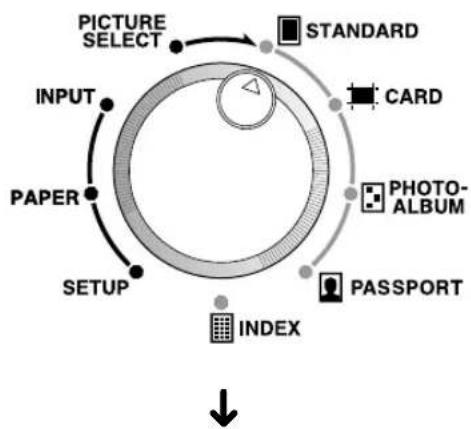 OLYMPUS Camedia P-440 - Standard Selection - 1