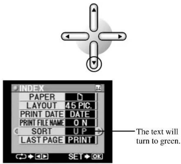 INDEX PAPER LAYOUT 45 PIC. PRINT DATE DATE PRINT FILE NAME ON SORT UP LAST PAGE PRINT The text will turn to green.