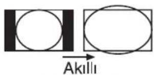 Akili