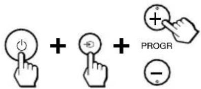 + + + PROGR -