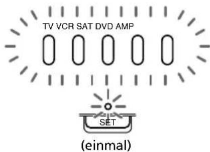TV VCR SAT DVD AMP SET (einmal)