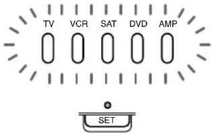 TV VCR SAT DVD AMP SET