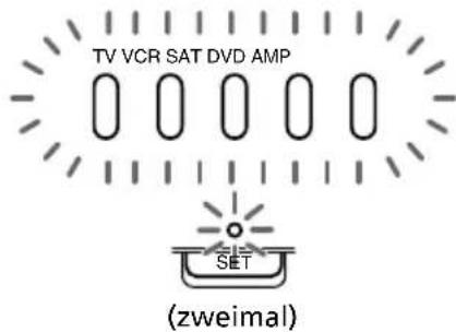 TV VCR SAT DVD AMP SET (zweimal)