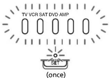 TV VCR SAT DVD AMP SET (once)