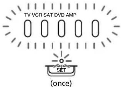 TV VCR SAT DVD AMP SET (once)