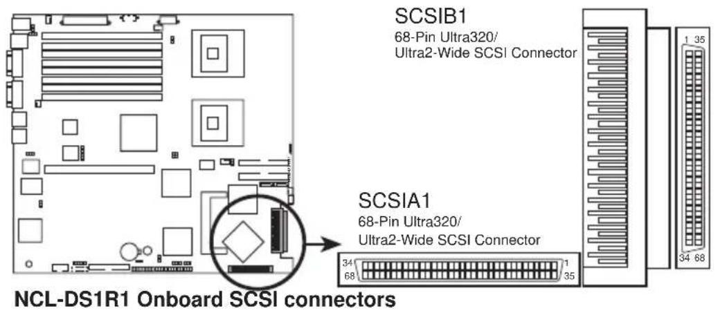 SCSIB1 68-Pin Ultra320/ Ultra2-Wide SCSI-Anschluss SCSIA1 68-Pin Ultra320/ Ultra2-Wide SCSI-Anschluss 34 1 68 35 NCL-DS1R1 Onboard-SCSI-Anschlüsse