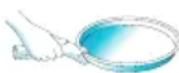 Ariston Thermo MWA33B - CRISP PLATE - 1