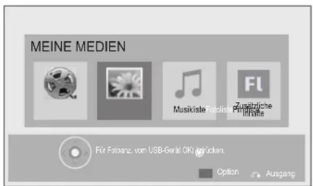 LG 47LD650H - BEIM ANSCHLIESSEN EINES USB-GERÄTS - 3