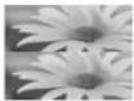 LG 42LW551C - Wiedergabe von 3D-Material - 3
