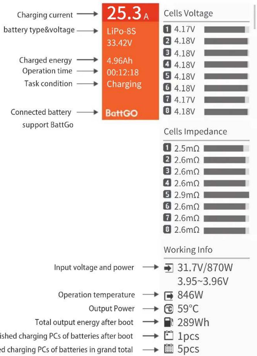 ISDT T6 - Working Parameters Display - 1