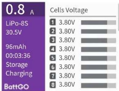 ISDT T6 - Working Parameters Display - 4