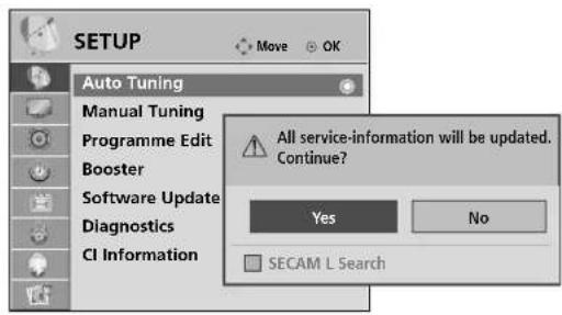 LG 60PG7000 - AUTO PROGRAMME TUNING - 3