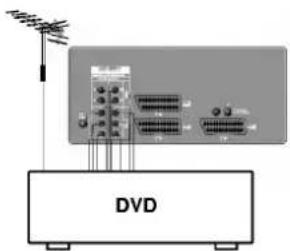 LG RE-44NB10RB - S-Video / Audio in sockets (S-AV) - 2