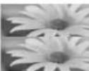 LG 47LW650G - Viewing 3D Imaging - 3