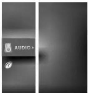 LG RE-44SZ20RD - Меню Аудио - 1