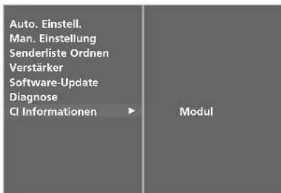 LG 477500 - CI [COMMON INTERFACE] INFORMATION (CI-INFORMATIONEN) (NUR IM DIGITALMODUS) - 3