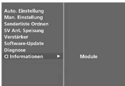 LG 42LT76 - CI [COMMON INTERFACE] INFORMATION (CI-INFORMATIONEN) (NUR IM DIGITALMODUS) - 3