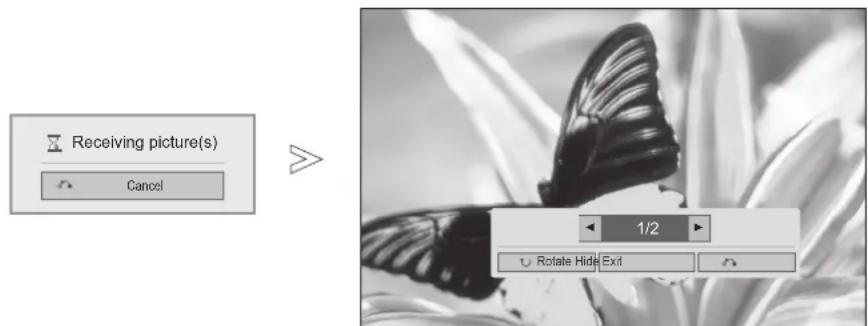 LG 42LD560 - RECEIVING PHOTOS FROM EXTERNAL BLUETOOTH DEVICE - 1
