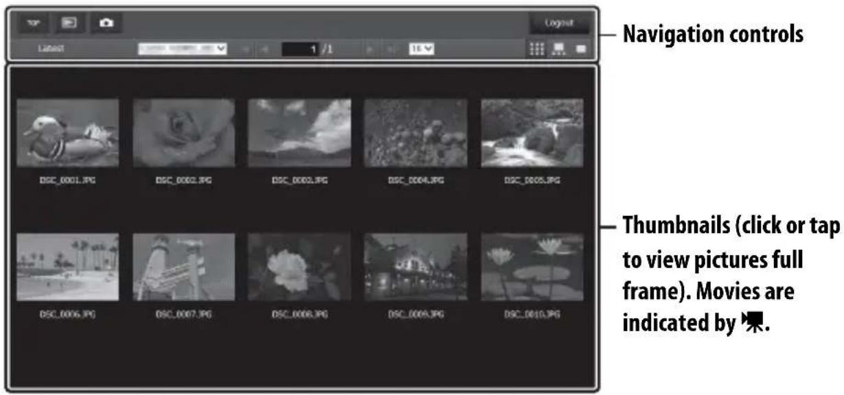 Navigation controls Thumbnails (click or tap to view pictures full frame). Movies are indicated by ▶.