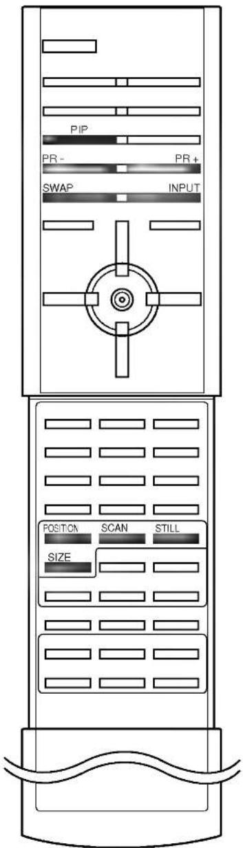 PIP PR- PR+ SWAP INPUT POSITION SCAN STILL SIZE