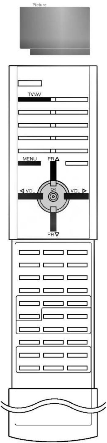 Picture TV/AV MENU PR VOL OK VOL PR