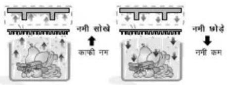 LG GL-549GEX4 - कनवर्टिबल कॉर्नर - 1