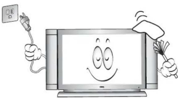BENQ DV3250 - Important Safety Instructions - 2