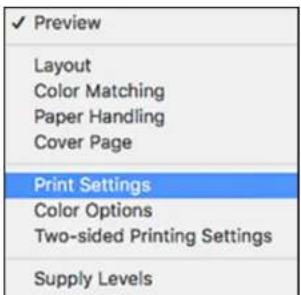 EPSON WorkForce ET-4750 - SelectingBasicPrintSettings-Mac - 3