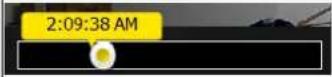 Vivotek ND8212W - 4-2-7. Alarm panel - 9