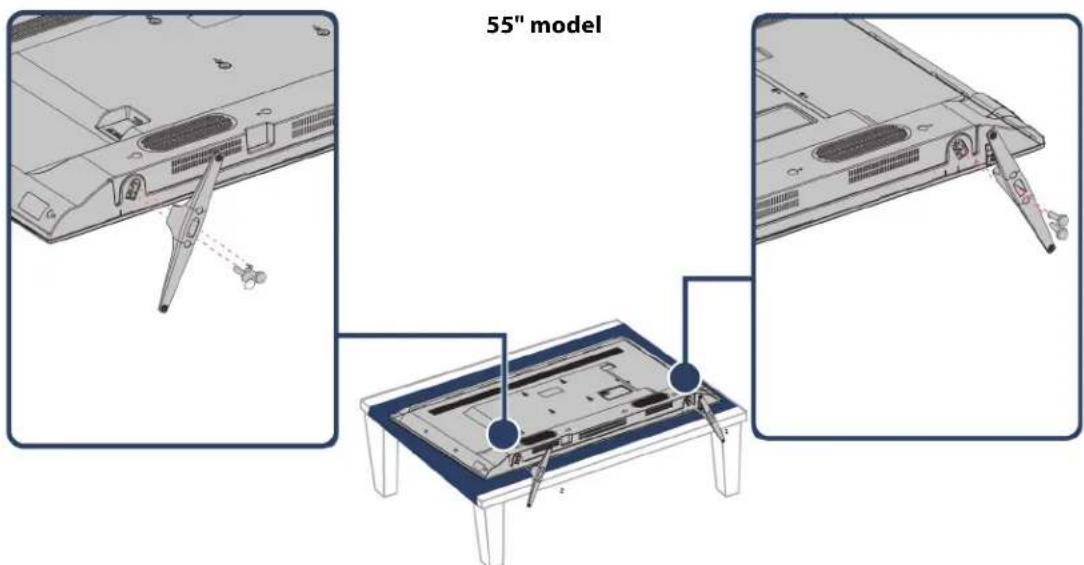 55" model