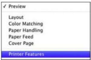 Preview Layout Color Matching Paper Handling Paper Feed Cover Page Printer Features