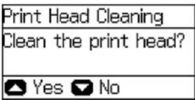 Print Head Cleaning Clean the print head? Yes No