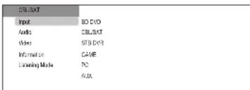 Integra DTR-60.6 - Press Q Setup on the remote controller. - 1