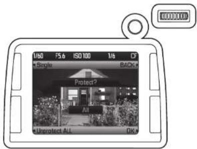 1/60 F5.6 ISO 100 1/6 D + Single BACK + Protect? All Unprotect ALL OK