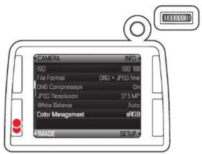 CAMERA INFO ISO ISO 100 File Format: DNO • JPEG fine DNG Compression On JPEG Resolution 37.5 MPa White Balance Auto Color Management iRGB IMAGE SETUP