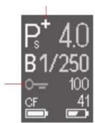 P⁺ 4.0 B 1/250 CF 100 41