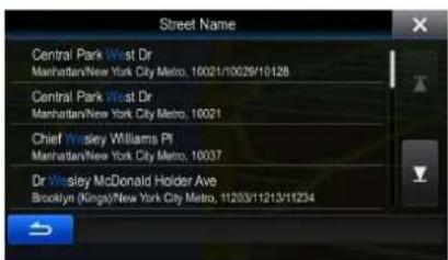 Street Name Central Park West Dr Manhattan/New York City Metro, 10021/10029/10128 Central Park West Dr Manhattan/New York City Metro, 10021 Chief Wesley Williams Pi Manhattan/New York City Metro, 10037 Dr Wesley McDonald Hoider Ave Brooklyn (Kings)/New York City Metro, 11203/11213/11234