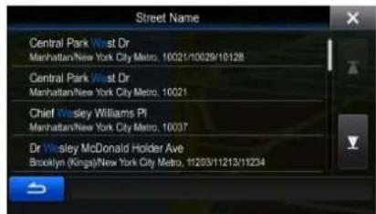 Street Name Central Park West Dr Manhattan/New York City Metro, 10021/10029/10128 Central Park West Dr Manhattan/New York City Metro, 10021 Chief Wesley Williams Pi Manhattan/New York City Metro, 10037 Dr Wesley McDonald Holder Ave Brooklyn (Kinga)/New York City Metro, 11203/11213/11234