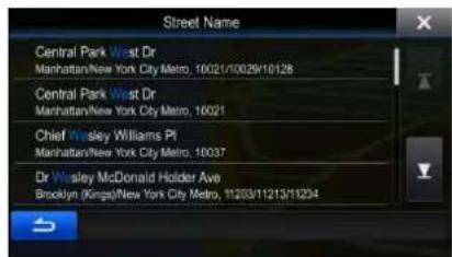 Street Name Central Park West Dr Manhattan/New York City Metro, 10021/10029/10128 Central Park West Dr Manhattan/New York City Metro, 10021 Chief Wesley Williams Pl Manhattan/New York City Metro, 10037 Dr Wesley McDonald Holder Ave Brooklyn (Kings)/New York City Metro, 11203/11213/11204